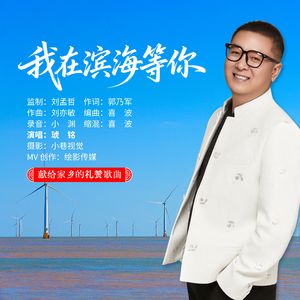 我在滨海等你DJ伟伟版