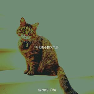 有趣放松的猫情怀