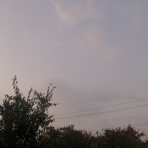 장마 (feat. 김강언)