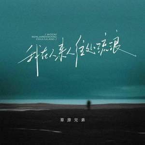 我在人来人往处流浪 (伴奏)