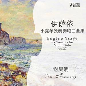 第二奏鸣曲 第三乐章：“死之舞”萨拉班德舞曲，缓慢的（Eugene Ysaye：Sonata for Violin Solo, Op.27, No.2：III.Danse des Ombres, Sarabande,Lento）