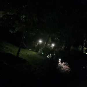 最后的第二圆舞曲。