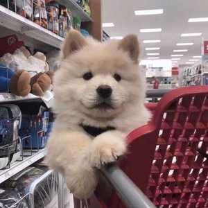 三分之一的人生