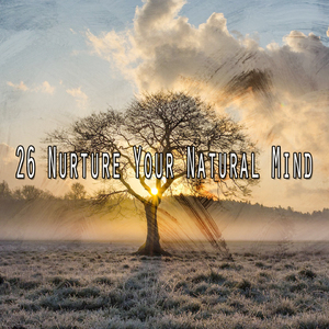 Take A Walk In Nature