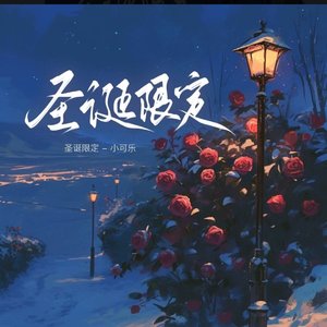 圣诞限定（翻自 杨舒淇）