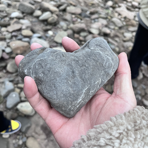 蝉鸣藏进工具箱