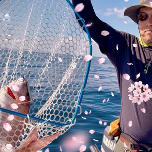 サクラ色の王様