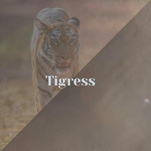 Tigress