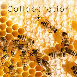 Collaboration