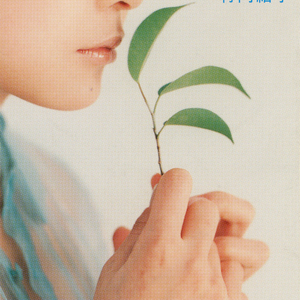 ただ風は吹くから