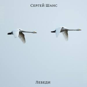 Лебеди
