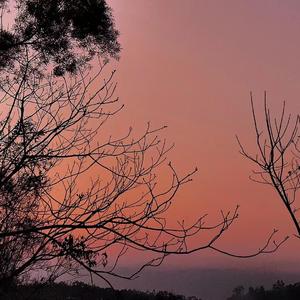 ThoughtCantDone(Prod.by Rick1y)