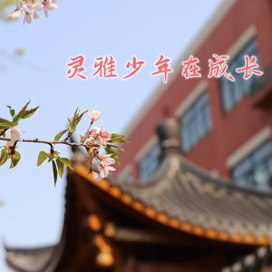 灵雅少年在成长