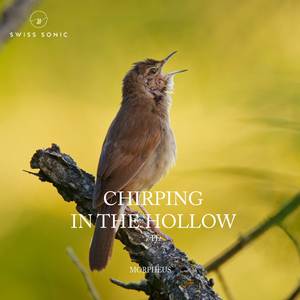 Chirping In The Hollow