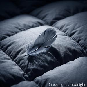Goodnight Goodnight Meditation