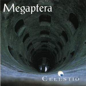 Behind the Eyes of a Hawk