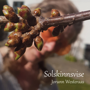 Solskinnsvise
