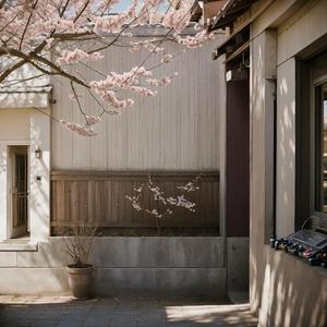 相和歌辞班婕妤三首