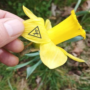 Your Shrink Needs a Shrink