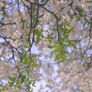 你说一辈子