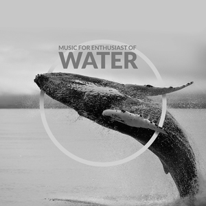 Conga & Waterfall Music