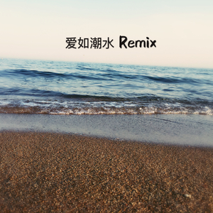 爱如潮水 remix