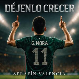 Déjenlo Crecer