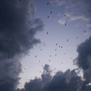 少帅进行曲（奉军入关）