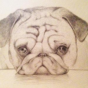 海子的歌demo（prod by 米狗）