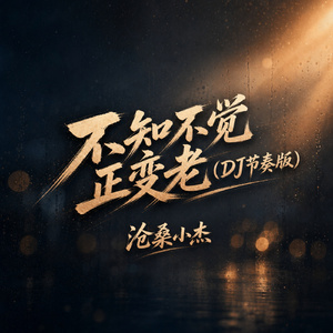 不知不觉正变老(DJ节奏版)