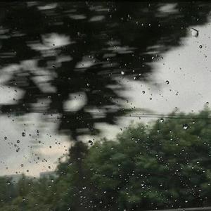 干物女（热播完整版）