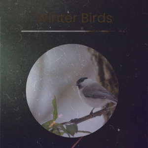 Shrodinger's Zombie Yacumama G