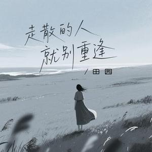 走散的人就别重逢 (DJ阿诺版)