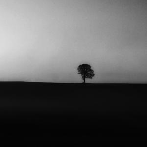 need (slowed + reverb)