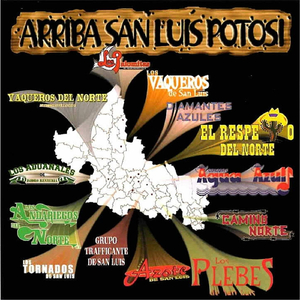 Sentimiento de Dolor