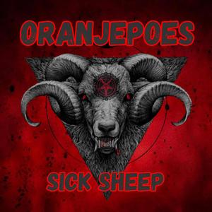 Sick Sheep
