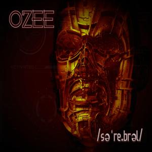 /ˌpɒly.syˈnoptic/