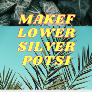 MAKEFLOWER-SILVERPOTSI