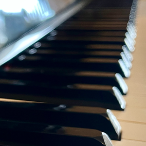 我爱你中国（钢琴）