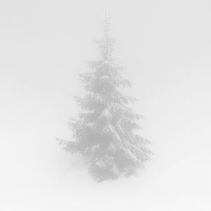 Diamond Light (钻石光芒)