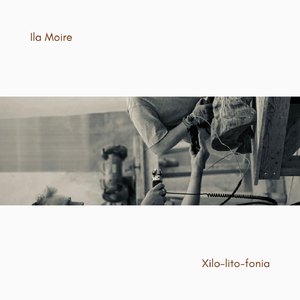 Morning Lights (Live)