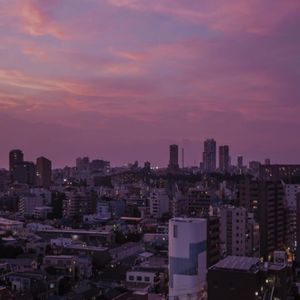 林间低语的宁静