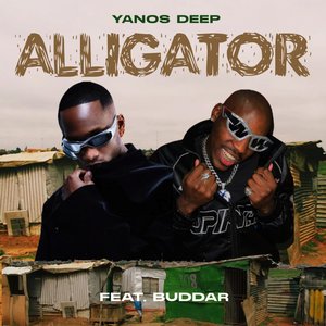 Alligator