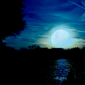 月の夜、砂の海