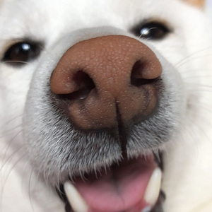 3年越しのプロポーズ by よしみち