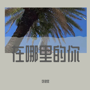风里雨
