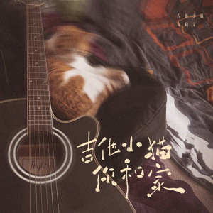 吉他小猫你和家
