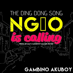 The Ding Dong Song NG10 Is Calling