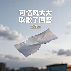 可惜风太大 吹散了回答