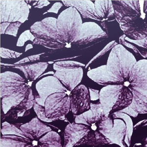 Tick Tock (Prod. bbno$)